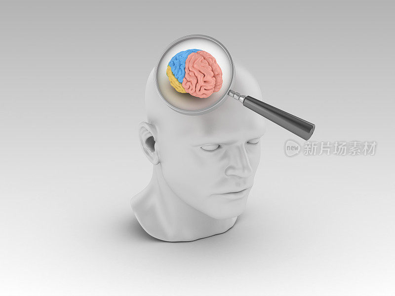 人的头与放大镜和大脑- 3D渲染